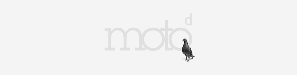 Web Design Morpeth